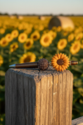 Terracotta-orange sunflower beaded pen in a rustic farm setting